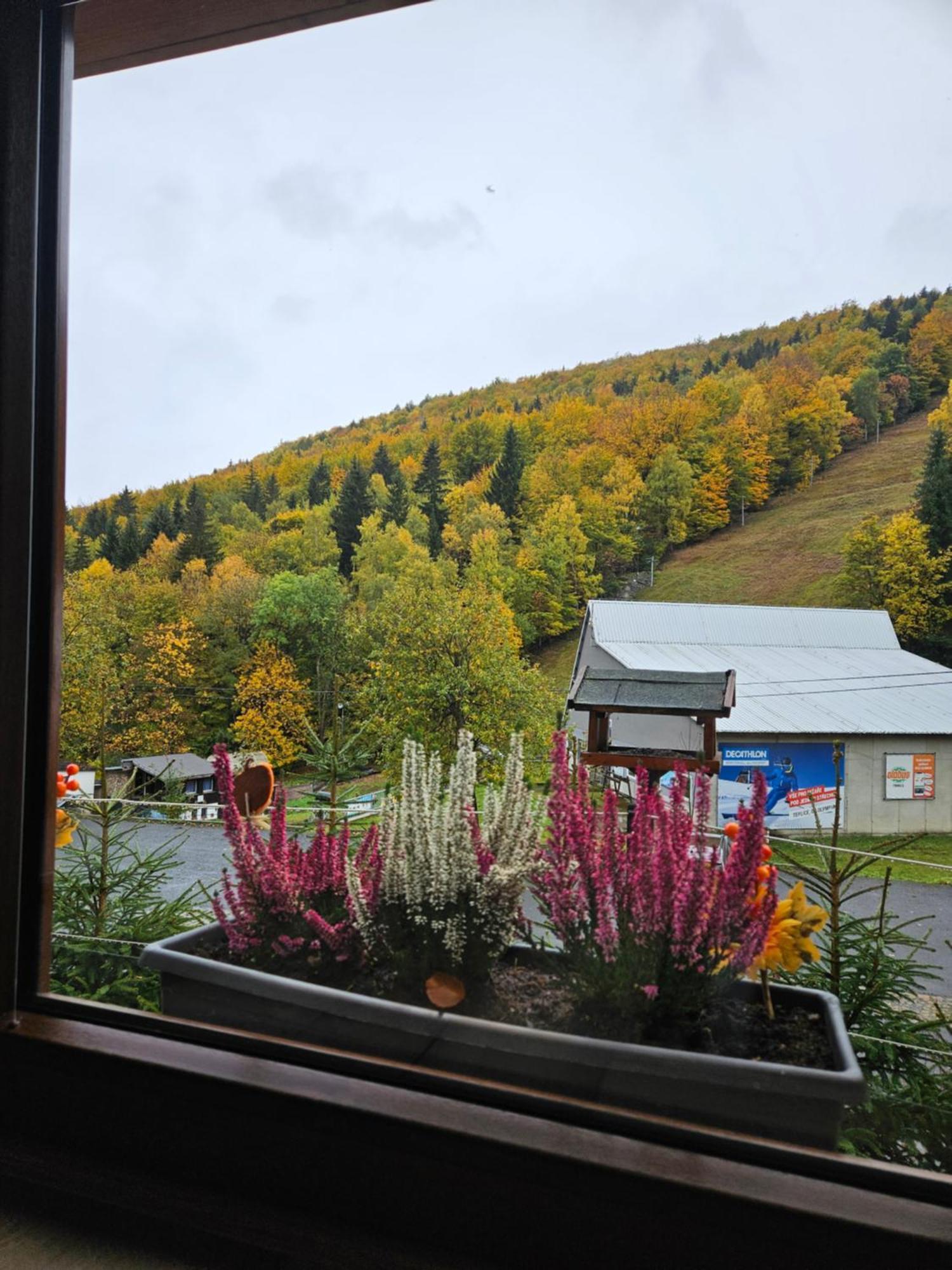 Vila Jirotovy Boudy II Telnice Exteriér fotografie